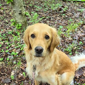 Fundraising Page: Maura Bonville